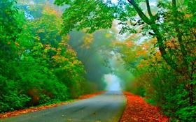  *** 用语猴赛雷是什么梗-猴赛雷梗意思及出处分享，猴赛雷是什么意思梗