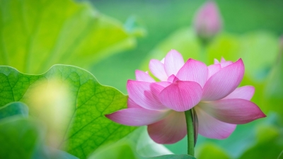 求轩辕剑外传云之遥的完整攻略!,轩辕剑外传云之遥手机版 ***